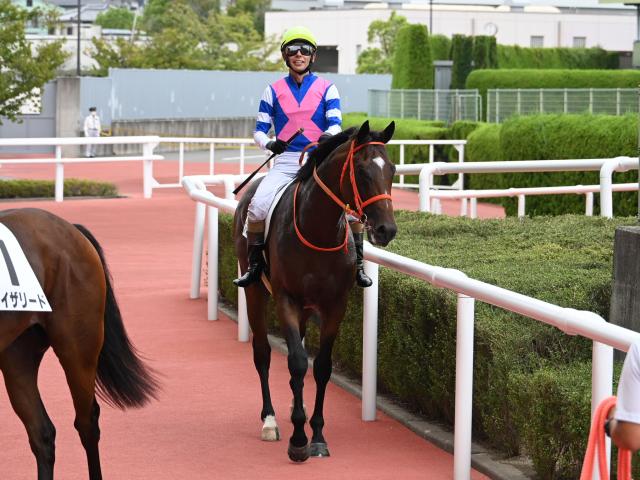 【POG】紫菊賞4着のブルースカイブルーは放牧 立て直しへ/馬三郎のつぶやき