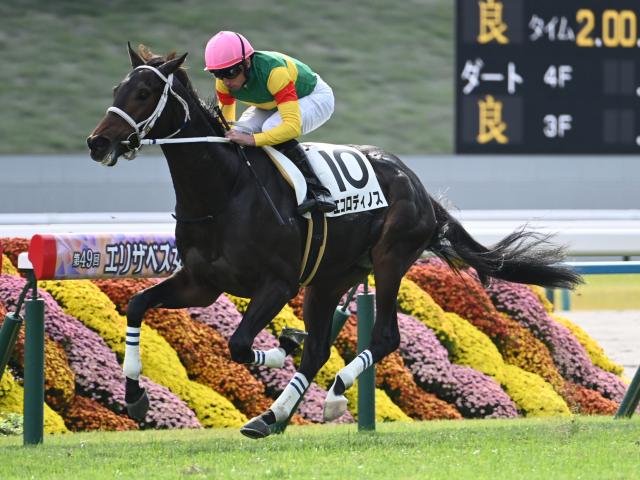 【有力馬動向】菊花賞抽選突破なら エコロディノス陣営「大逃げあるかも」/馬三郎のつぶやき
