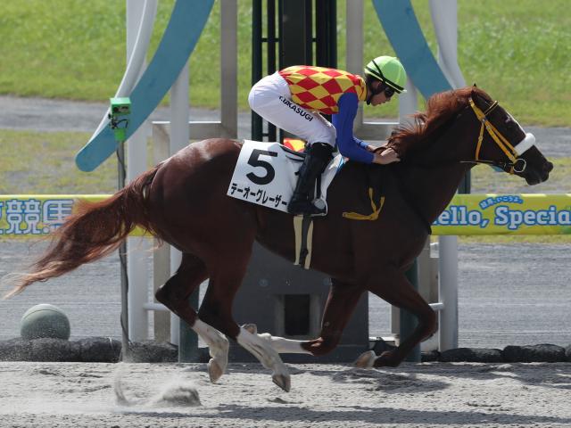 【週末情報】なでしこ賞出走予定のテーオーグレーザー 2勝目へ/馬三郎のつぶやき