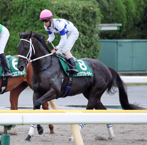 【注目馬動向】サウジアラビアRC5着のチュウワカーネギーは東京スポーツ杯2歳Sで反撃を狙う