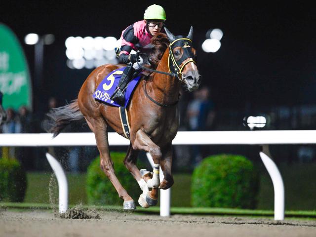 【川崎・鎌倉記念結果】ベストグリーンが4馬身差圧勝で無傷4連勝 重賞3勝目を挙げる