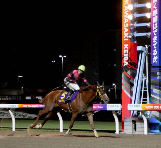 【川崎競馬】門別のベストグリーンが圧勝でデビュー4連勝!小野楓馬騎手とそろって南関重賞初制覇〜鎌倉記念