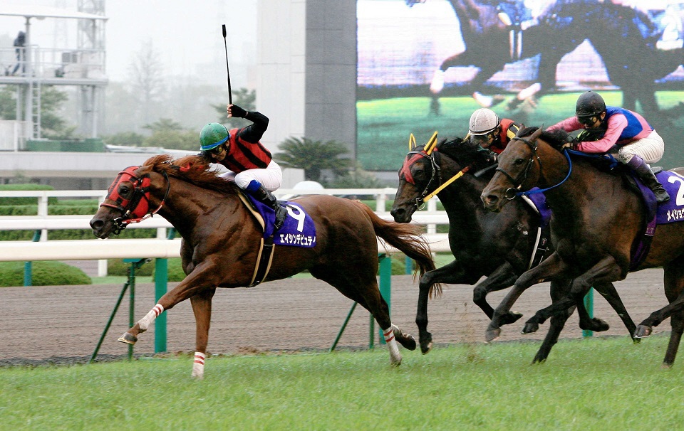 エイシンデピュティ死す　２３歳、０８年宝塚記念など重賞４勝