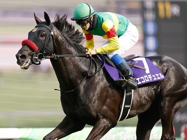 【東京ハイJ枠順確定】エコロデュエルは7枠7番、ジューンベロシティは6枠6番