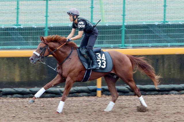 【POG】重賞5勝馬ナムラクレアの全弟ナムラロダンは力強い走り　長谷川調教師「まだまだ粗削りですけど、素質はあります」  　