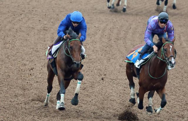 【菊花賞・1週前】レッドバンデが攻めて好時計をマーク　佐々木大輔騎手「気持ち重いかなという感じ」