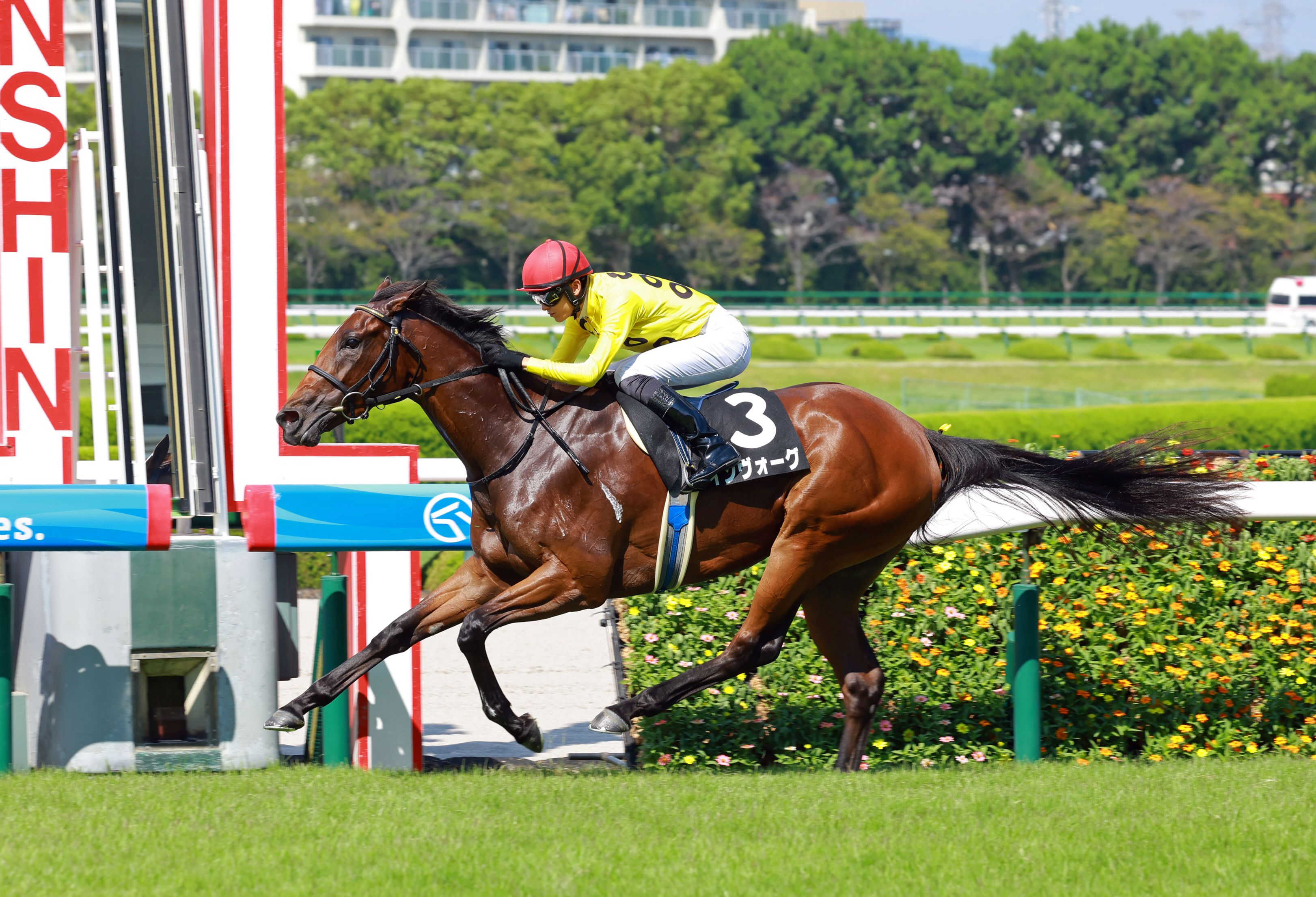【秋華賞】インヴォーグが４分の１の抽選を突破　福永師「逃げ馬の後ろぐらいにはまれば面白い」