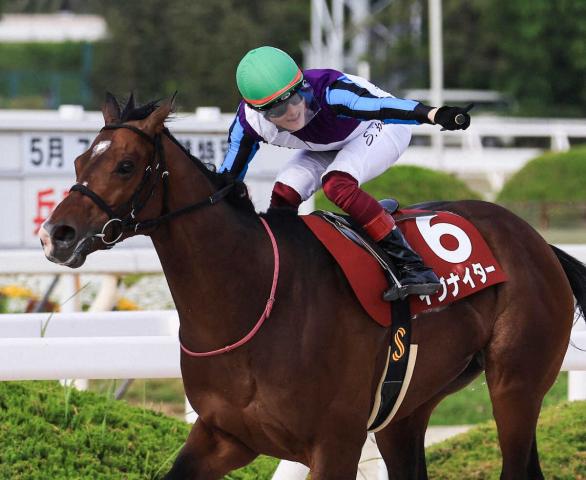 【第8回地方競馬ファン投票】1位はイグナイター　南部杯を最後に現役引退