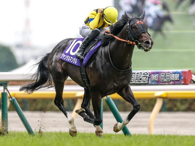 【富士S出走馬・騎手確定】ジャンタルマンタル＆川田将雅騎手、マジックサンズ＆武豊騎手など14頭