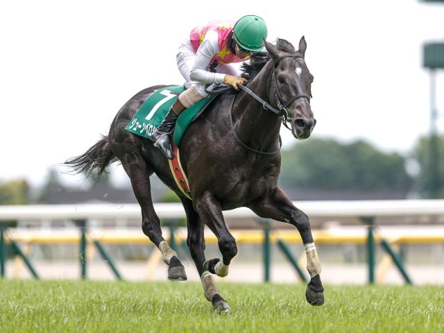 【東京ハイJ出走馬・騎手確定】ジューンベロシティ＆高田潤騎手、エコロデュエル＆草野太郎騎手など10頭