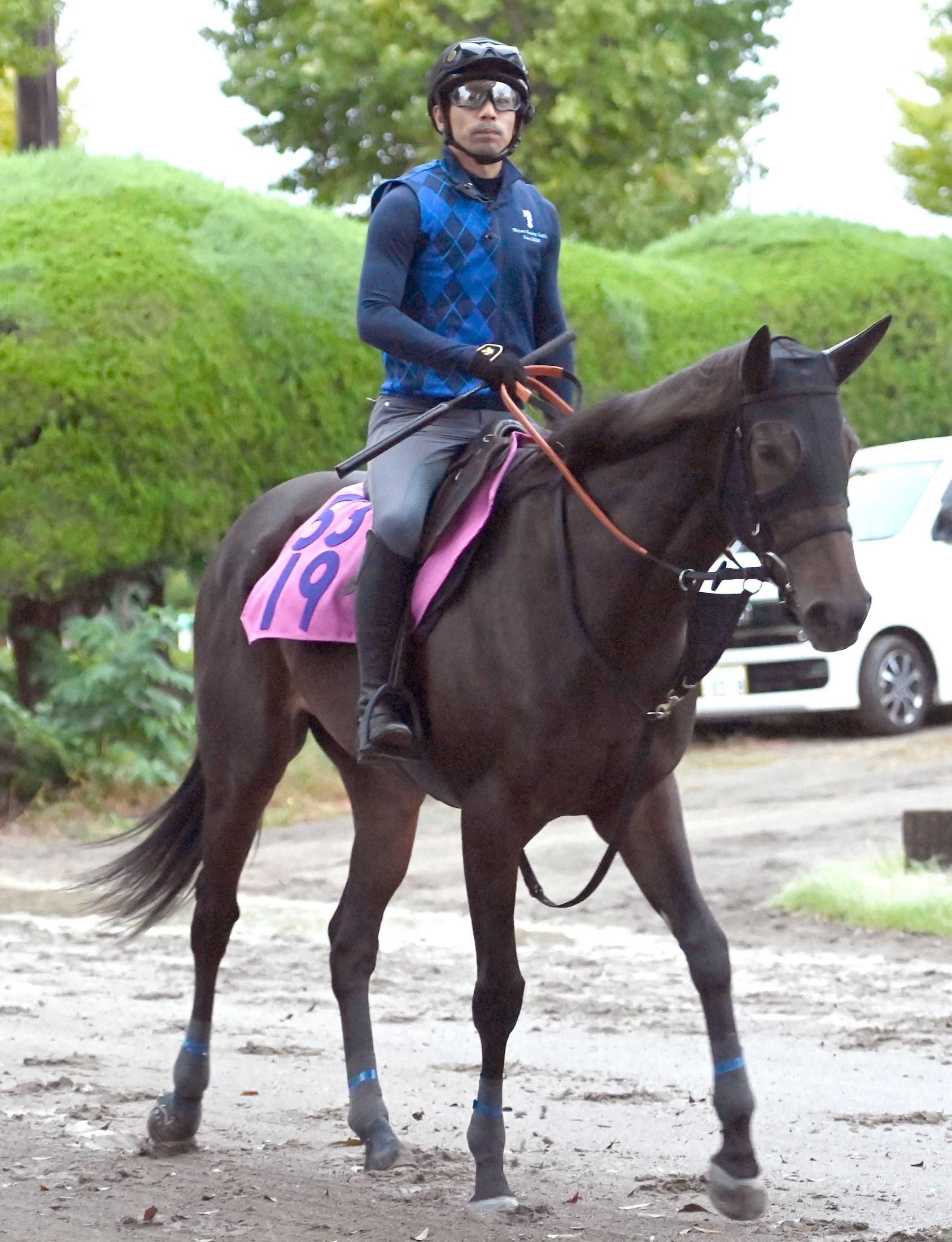 【新馬戦】ソチミルコ　いとこはゲルチュタール、近親にキラーアビリティ　宮田師自信「感度が高く新馬戦向き」