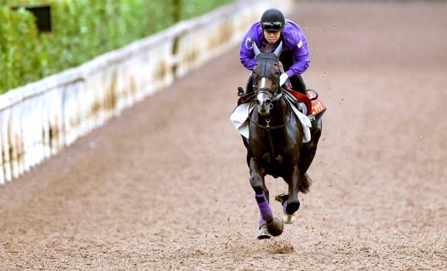 ڽھޡۥϥ˥å817֡־ϥ֥꡼611֤ˡȽ | ľե륵