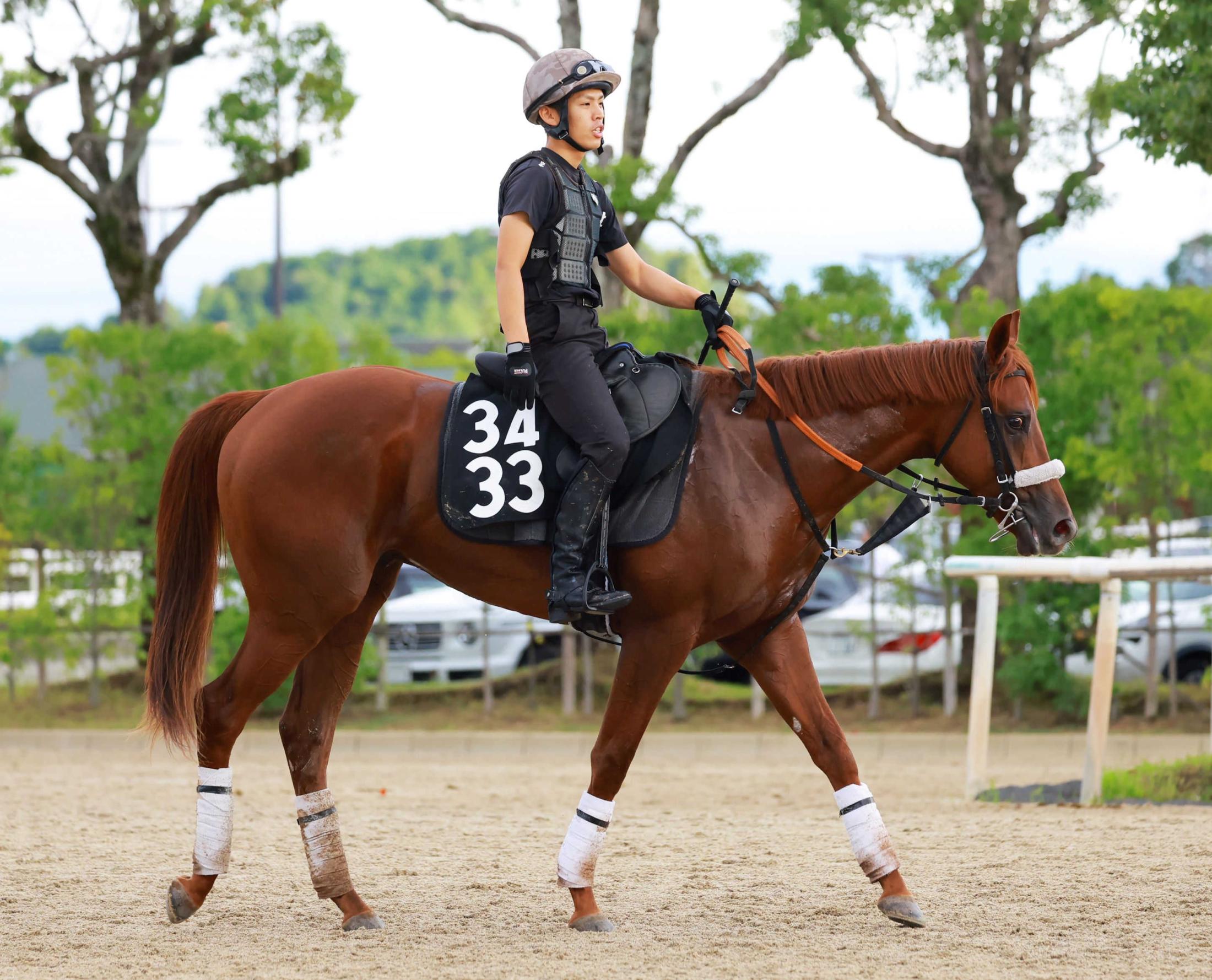 ڿۥʥ󡡻Фϥʥ饯쥢᤯ǼФ³ĹëաҤϸƤ뤫ʡ