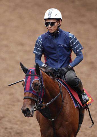 【秋華賞】(11)エンブロイダリー　全体的に大人に　陣営「毛ヅヤもいい」