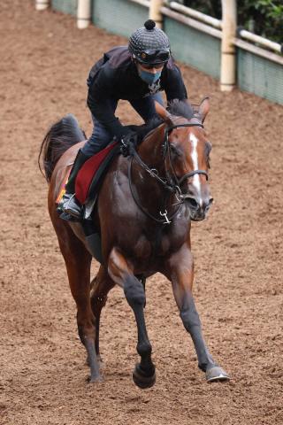 【秋華賞】パラディレーヌ差し切る!大外18番むしろ歓迎