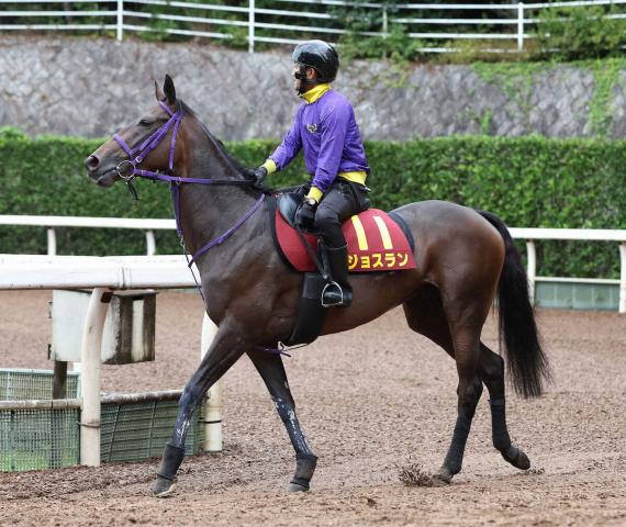 【秋華賞】(3)ジョスラン　兄妹G1の期待　陣営「いい状態で出せれば」