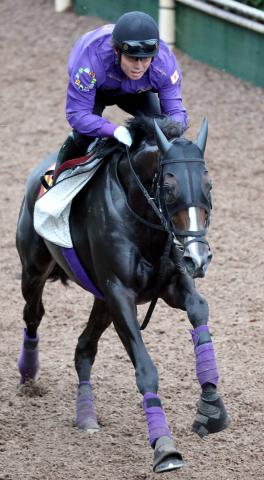 【秋華賞】カムニャックは最終調整でも軽快な走り　超回復で2冠狙う　陣営「馬肥ゆる秋という感じ」