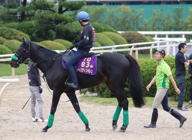 【注目馬動向】23年に天皇賞・春制覇のジャスティンパレスが年内で引退　天皇賞・秋、ジャパンC、有馬記念を予定
