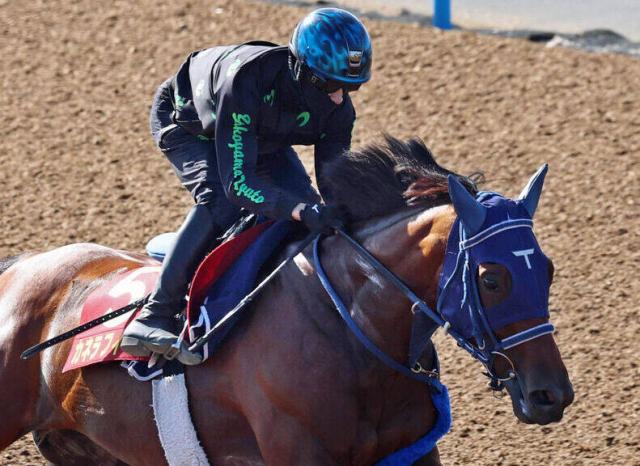 ֥ޥǽФߤäס4Ϣ?׽ھޤϳ̵ǰ餷ͥեʤ˾λ