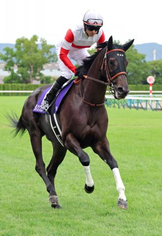 【秋華賞】ダノンフェアレディは好位から進めるも15着　坂井瑠星騎手「自己条件に戻ったらまた頑張れる」