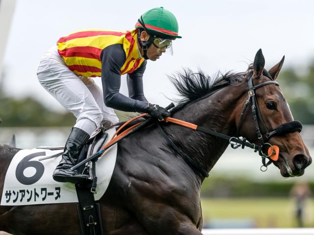 【2歳1勝クラス東京6Rレース後コメント】サンアントワーヌ戸崎圭太騎手ら