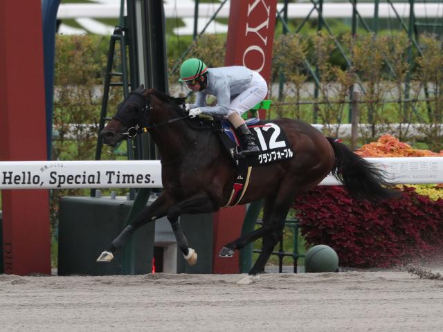 【京都競馬場開設100周年記念レース後コメント】グランフォーブル酒井学騎手ら