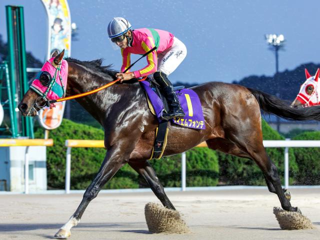 【佐賀オータムスプリント結果】テイエムフォンテが抜け出し重賞初制覇