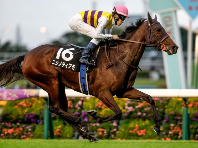 【甲斐路Sレース後コメント】ニシノティアモ津村明秀騎手ら