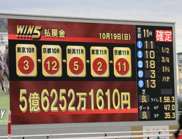 WIN5ǹФ!Ū鷺1ɼ56252ߤ