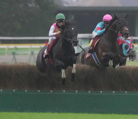 【東京ハイジャンプ】ジューンベロシティ　史上2頭目の連覇!　高田絶賛「今が充実期」