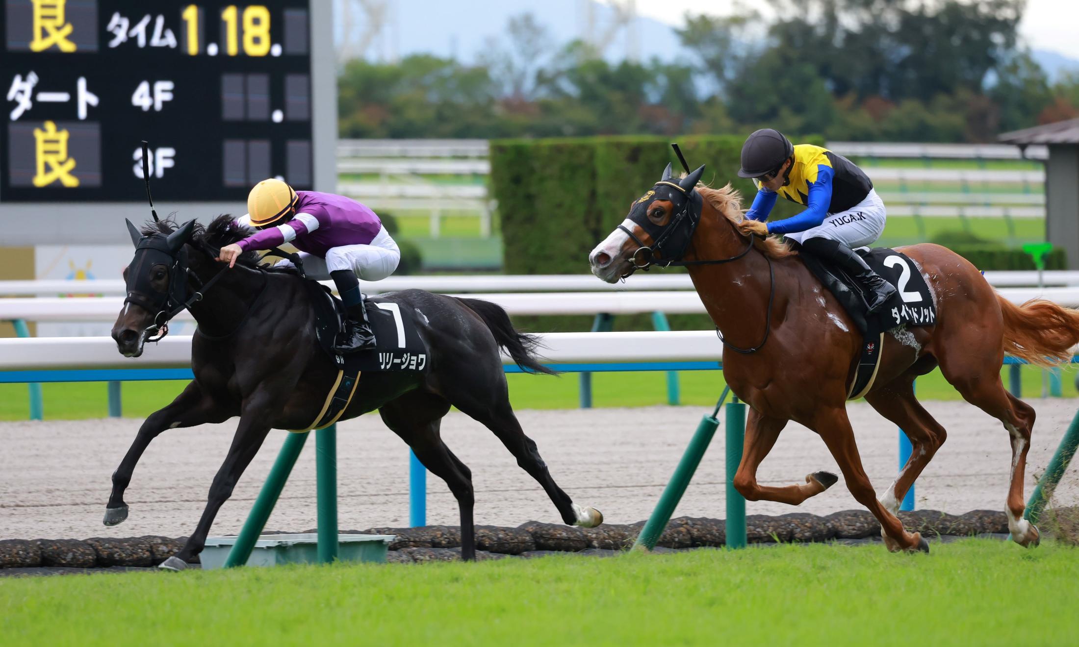 【もみじＳ】リリージョワ　半馬身差振り切り勝利　ルメール「もう少し落ち着いてほしい」