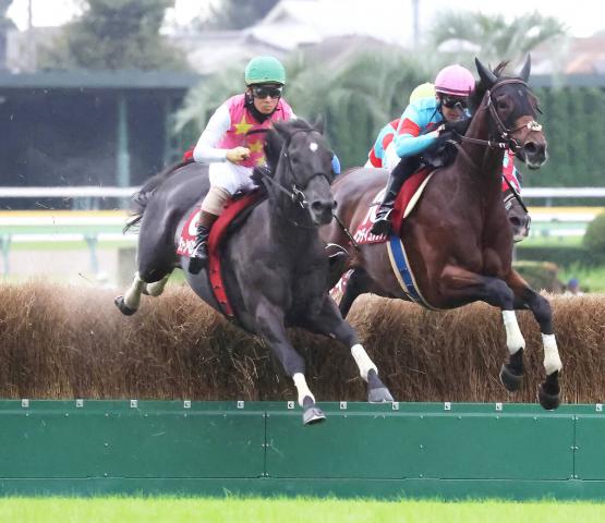 【東京ハイジャンプ】ジューンベロシティ連覇で高田騎手が歴代最多タイの障害重賞26勝目　相棒へ「これからもジャンプ界を引っ張っていってくれると思う」