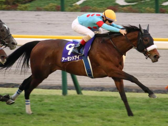 ܥɥդɤۤGI8 ɥΰζã5ǯ