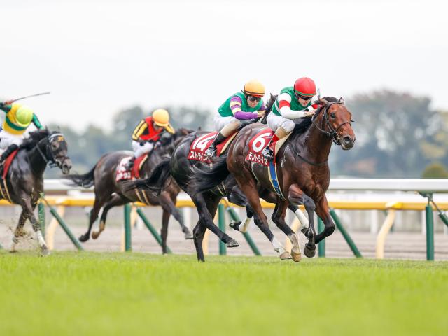 【先週のJRA抹消馬】20年の京王杯2歳S覇者モントライゼ、昨春のアネモネSを制したキャットファイトなど