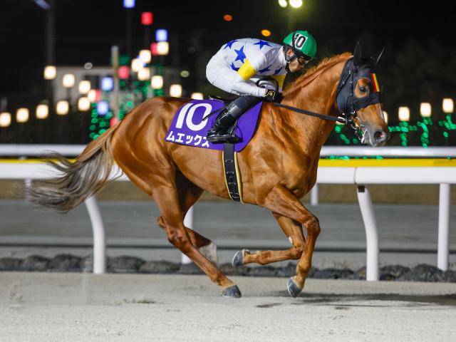 【大井・マイルグランプリ枠順】ダートグレード競走でも好走続くムエックスは2枠4番