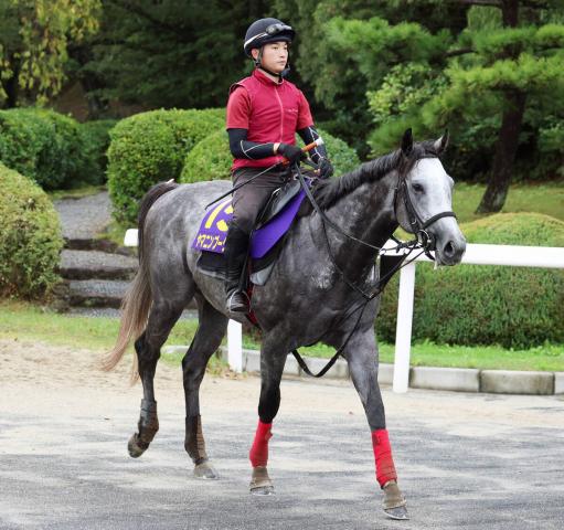 【菊花賞・戸田の特注馬】ヤマニンブークリエ自在性がアップ　松永幹調教師「力をつけてきている」