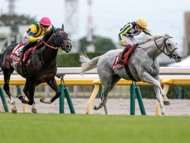 【富士S】売上は54億1605万1400円で昨年より約5.2億円増加