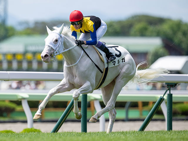 【アルテミスS想定騎手】マルガは武豊騎手、フィロステファニは川田将雅騎手