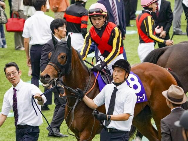 ŷľ()ŷľޤԥĸͺ귽꤬֥쥤ǥǽ