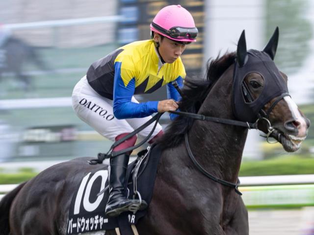【村上特別】母は名牝アパパネ バードウォッチャーが3勝目なるか