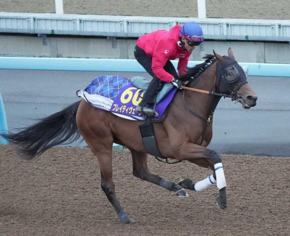 ŷľޡ1ɤۥ֥쥤ǥȯϰФͺֺǶǰĴɤ