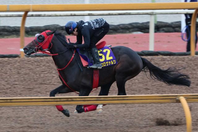 ŷľޡ1ɤۥġӹؤ˷ڲ֥եåȥɤä