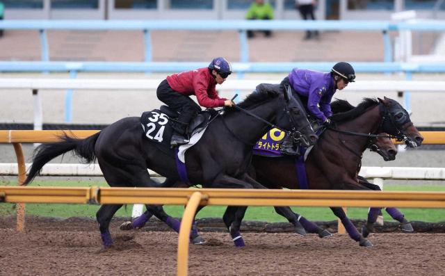 【菊花賞】ライトトラック　3頭併せで好反応、友道師「瞬発力の練習をした」
