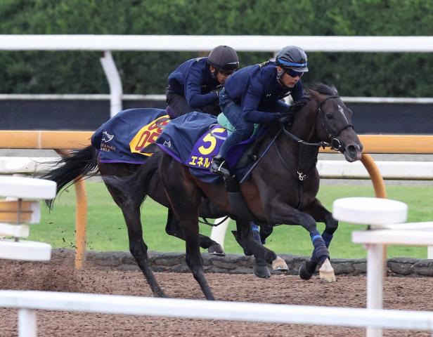 ڵƲ־ޡۥͥ른˾3Ϣơɤ!¤εˡɥ᡼V