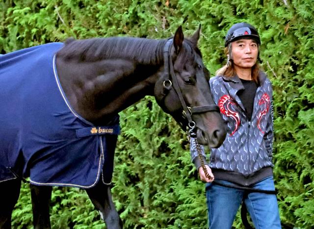 【菊花賞】エリザベス女王杯Vの母・ラキシスも担当　瀧川厩務員がミラージュナイトに注入する「角居イズム」