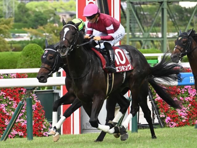 【菊花賞予想】大種牡馬ディープインパクトの取り扱いが重要!? 人気でも本質的なスタミナに疑問符が付く1頭とは