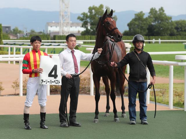 ڥᥤǥӥ塼5R졼女ȡۥ꡼ϡ٥¼ͧ쵳