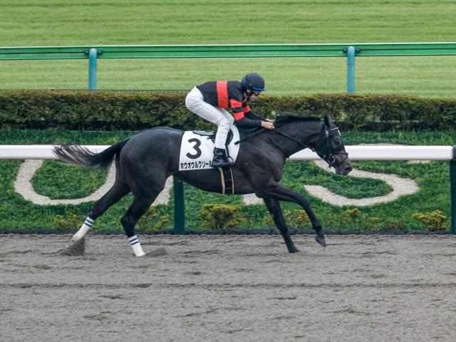 ڥᥤǥӥ塼6R졼女ȡۥۥ륯벣