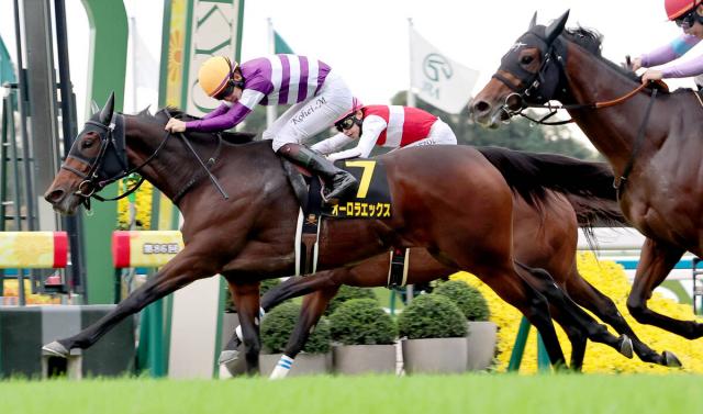 【京都11R・カシオベアS】昇級初戦のオーロラエックスが差し切りV　松山弘平騎手「いい脚を使ってくれた」