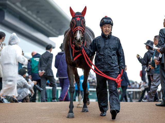 【精進湖特別レース後コメント】ウイントワイライト武豊騎手ら